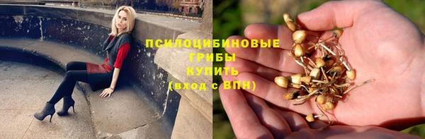 мяу мяу мука Абаза