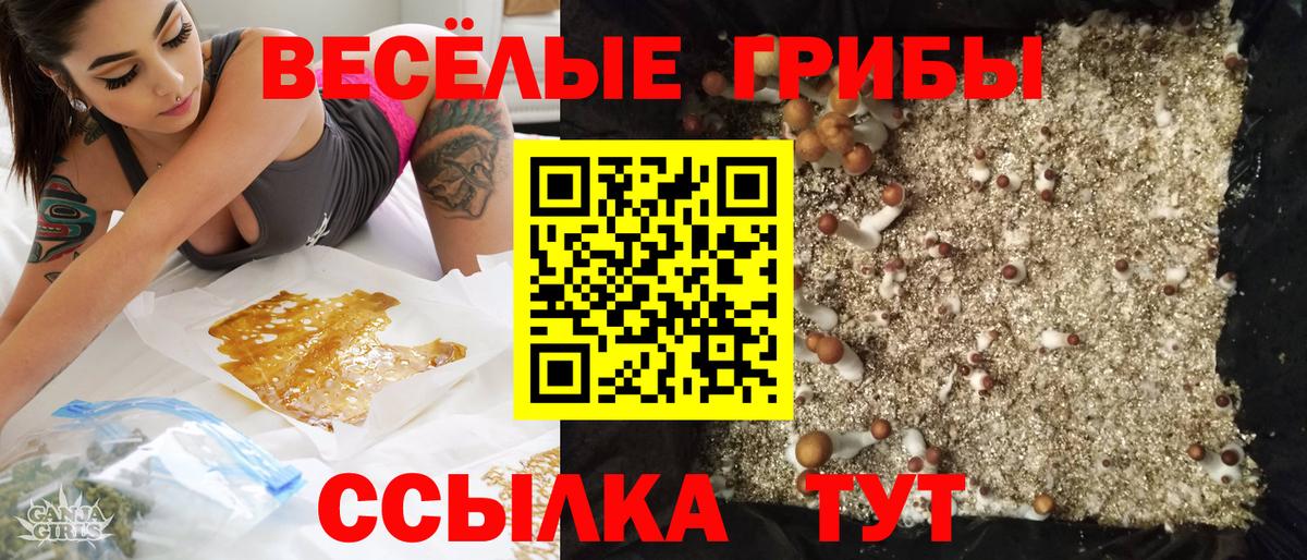 Псилоцибиновые грибы ЛСД Добрянка
